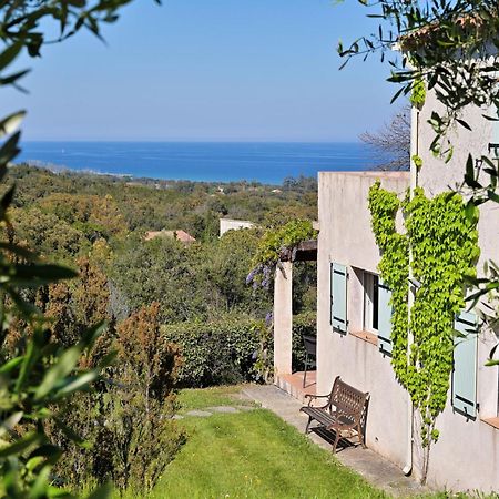 Domaine Punta Della Guardia Villa Vue Mer Dans Nature Protegee, Plage A 1,5 Km Cervione Buitenkant foto