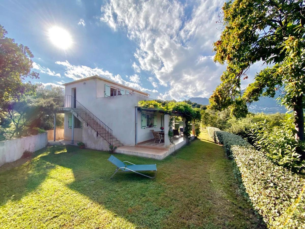 Domaine Punta Della Guardia Villa Vue Mer Dans Nature Protegee, Plage A 1,5 Km Cervione Buitenkant foto