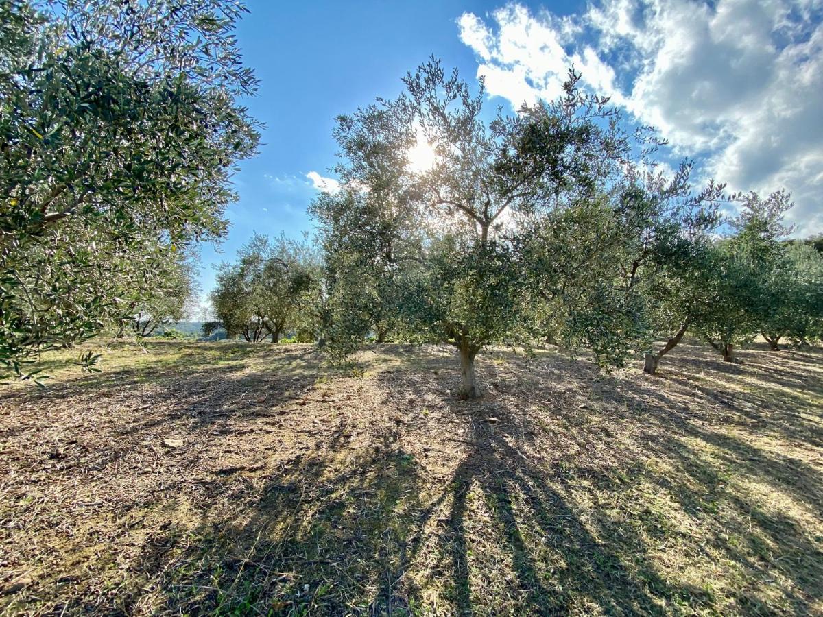 Domaine Punta Della Guardia Villa Vue Mer Dans Nature Protegee, Plage A 1,5 Km Cervione Buitenkant foto
